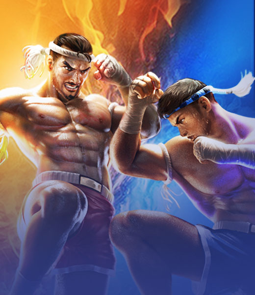 Muay Thai Champion
